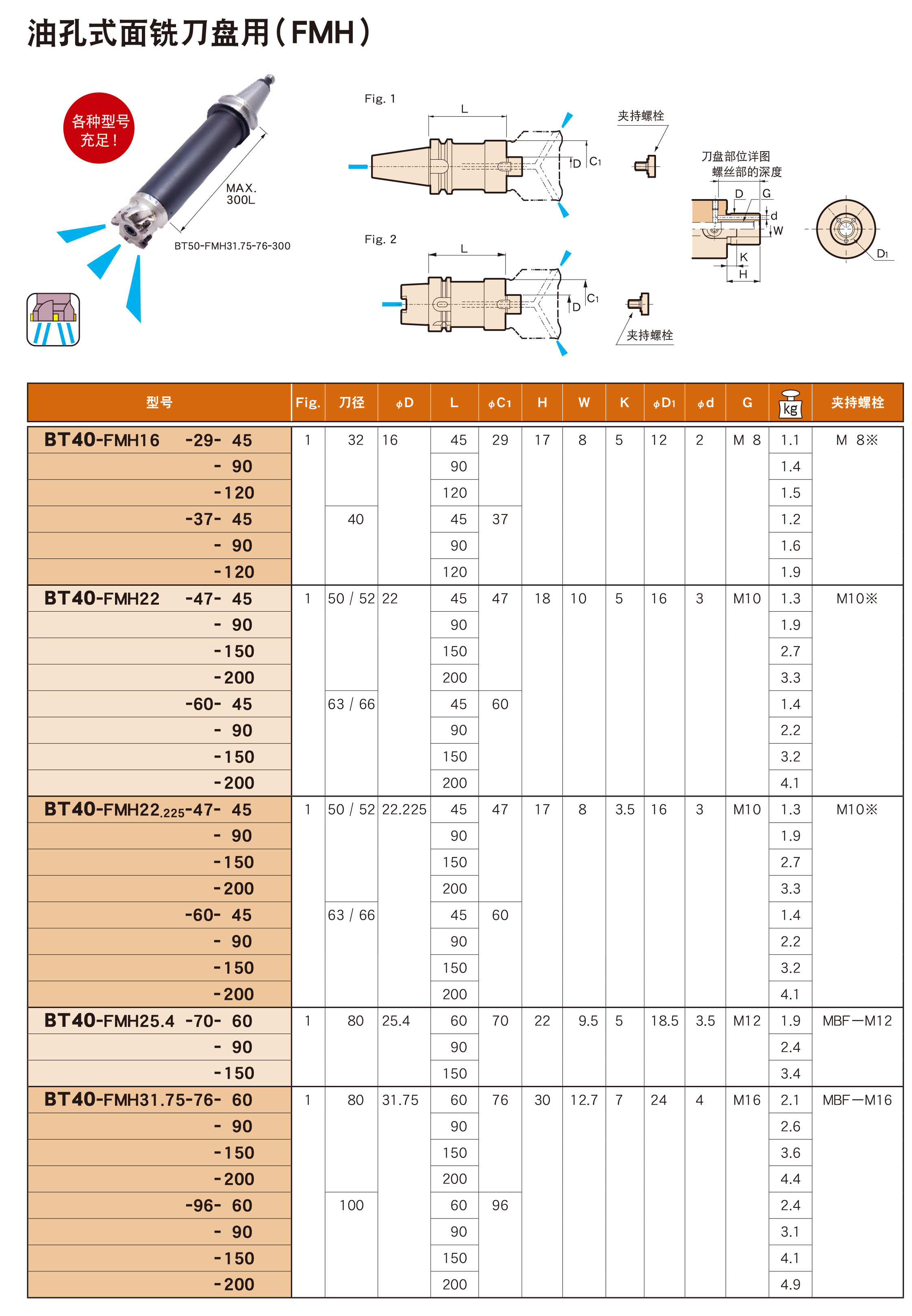 油孔式面銑刀盤用（FMH）